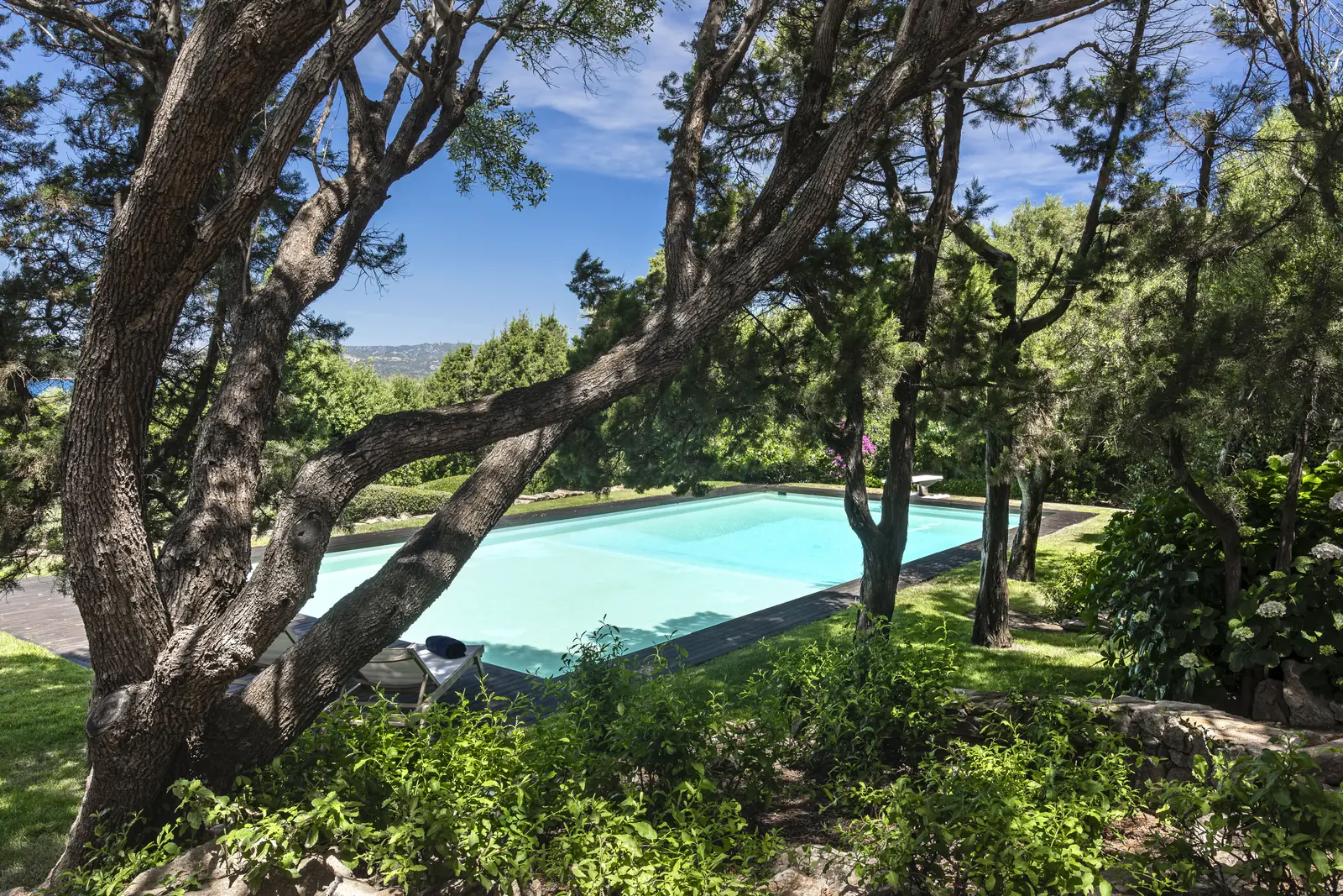The pool of Villa Clelia seen through the maritime pines